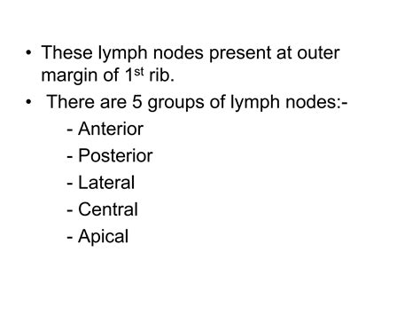 Axillary Lns And Musculocut Nerve These Lymph Nodes Present At Outer Margin Of 1st Rib There Are