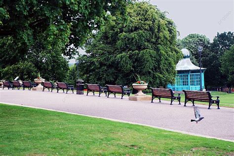 The Bandstand In The Park Bandstand Bench Pigeon Photo Background And