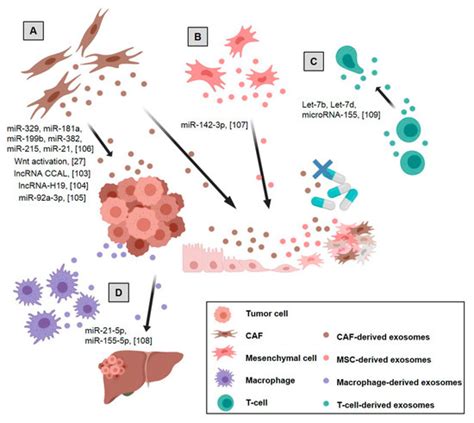 Ijms Free Full Text A Snapshot Of The Tumor Microenvironment In Colorectal Cancer The