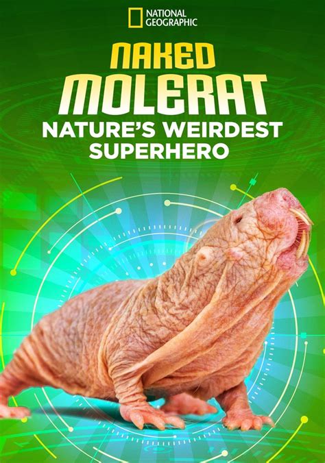 Naked Molerat Natures Weirdest Superhero Streaming