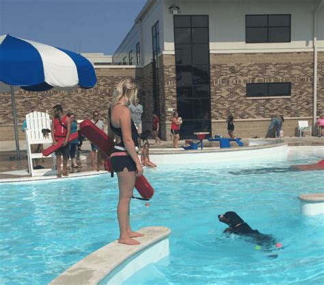 Photos: Doggie Dip Pool Day at Jorgensen YMCA outdoor pool – WANE 15