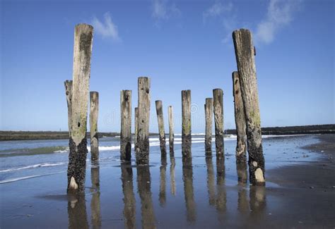 Patea Beach stock image. Image of zealand, taranaki - 217250439