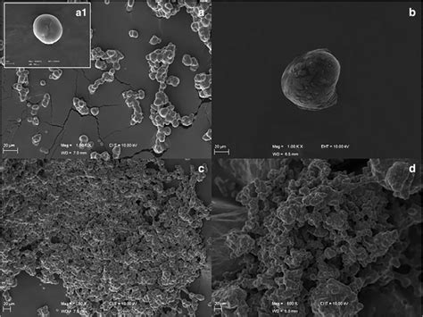 Scanning Electron Micrographs Sem Of Cw A And Rw C Microcapsules Download Scientific