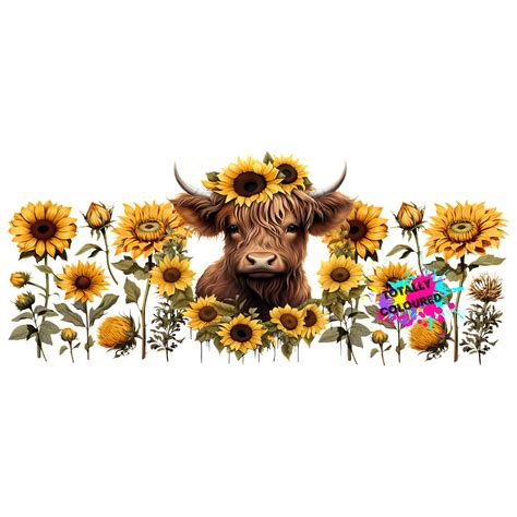 Sunflower Highland Cow Uv Dtf Wrap Totally Coloured