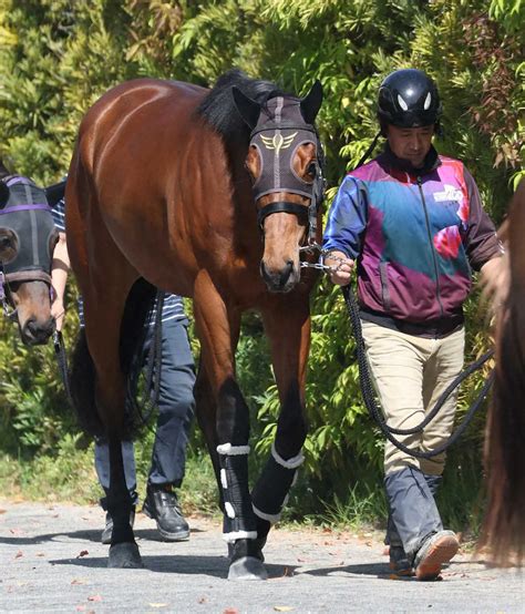 【nhkマイルc】天のみぞ知る？皐月賞惨敗から逆転のダノンタッチダウン スポニチ競馬web