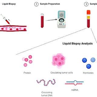 Schematic Summary Of Liquid Biopsy Sample Preparation And Usage Areas