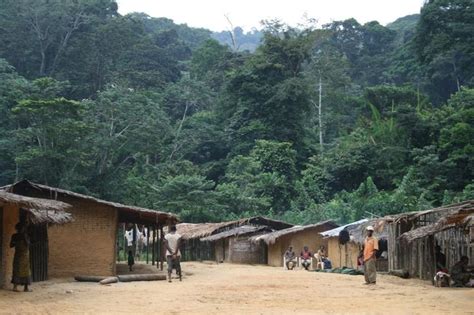 Tchibanga Village Province De La Ngounié Gabon Region Village