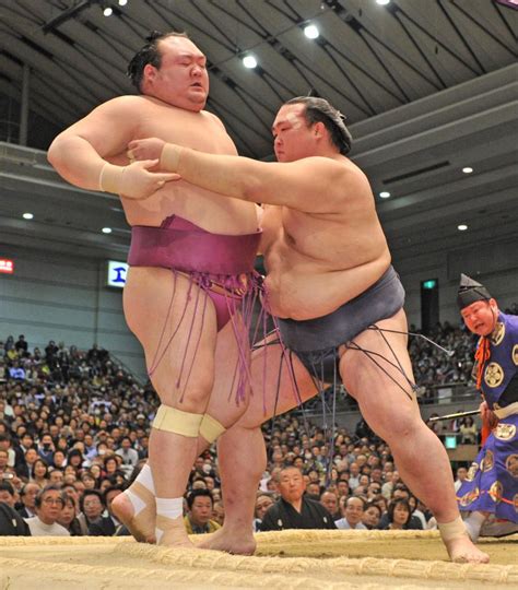 稀勢の里6連勝、高安、栃煌山も全勝 春場所 大相撲 日刊スポーツ