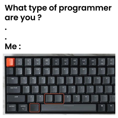 Developer Humor Computer Quote Programing Jokes Engineering Memes