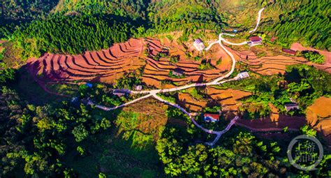 垫江：土地宜机化改造 推动农业高质高效 上游新闻 汇聚向上的力量