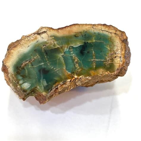 Goxd Rare Gokwe Zimbabwe Green Chromium Petrified Wood Specimen