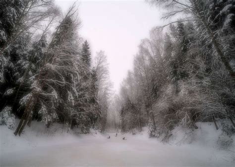 Scenes of a Winter Wonderland - ABC News