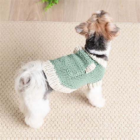 Ravelry: Classic Sweater for Dogs pattern by Yarnspirations Design Studio