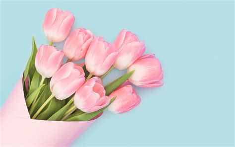 Pink Tulips Wallpapers - Top Free Pink Tulips Backgrounds - WallpaperAccess