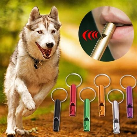 Dressage Exercices pour chien Sifflet d entraînement pour chien 1