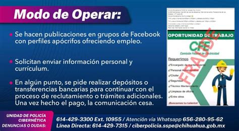 Alertan Por Fraudes En Ofertas De Empleo Fake