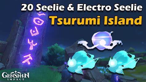 20 All Seelie Electro Seelie Tsurumi Island Route Locations Lokasi