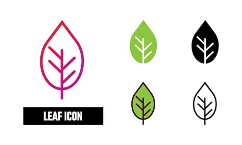 Premium Vector Leaf Icon Set Vector Illustration