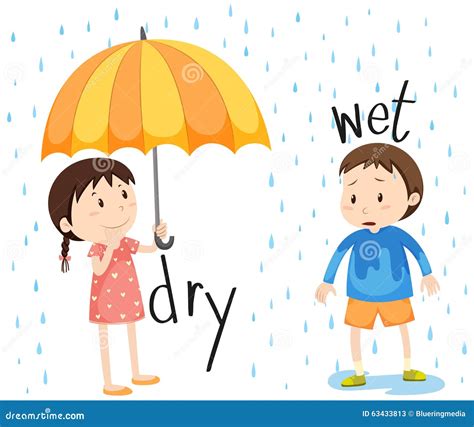 Opposite Adjective Dry And Wet Stock Vector Image 63433813