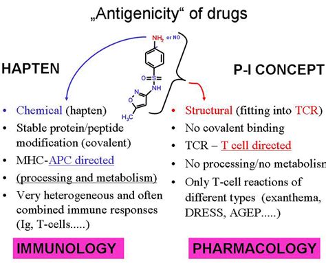 As Haptens To Peptides And