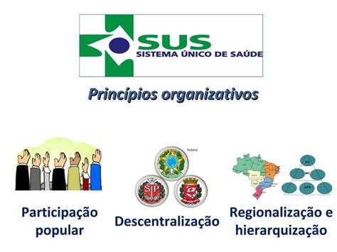 Estrutura Organizacional Dos Servi Os De Sa De Redes De Aten O