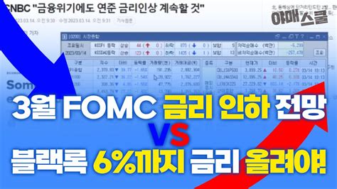 노무라 3월 Fomc 금리 인하 전망 Vs 블랙록 6 까지 금리 올려야 Youtube