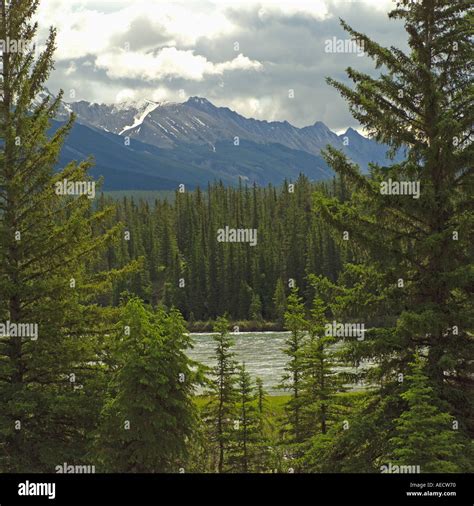 Jasper National Park Canada Stock Photo - Alamy