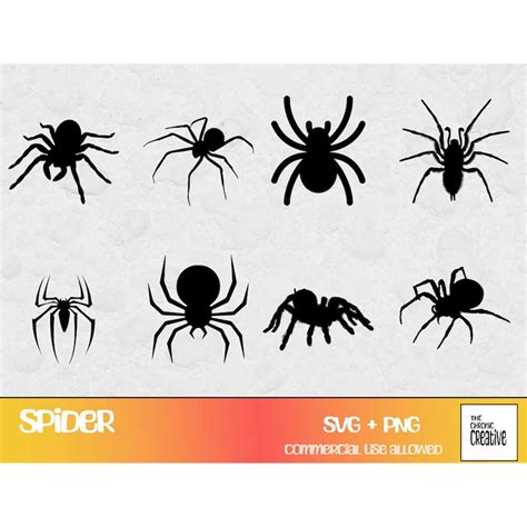 Spider Svg Bundle Svg Files For Cricut Spider Clipart Ani Inspire