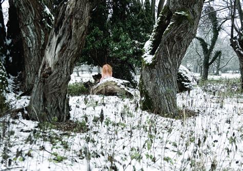 Sensual Seductive Beautiful Mature Sexy Redhead Woman Fairy Hides In Winter Wonderland Behind A