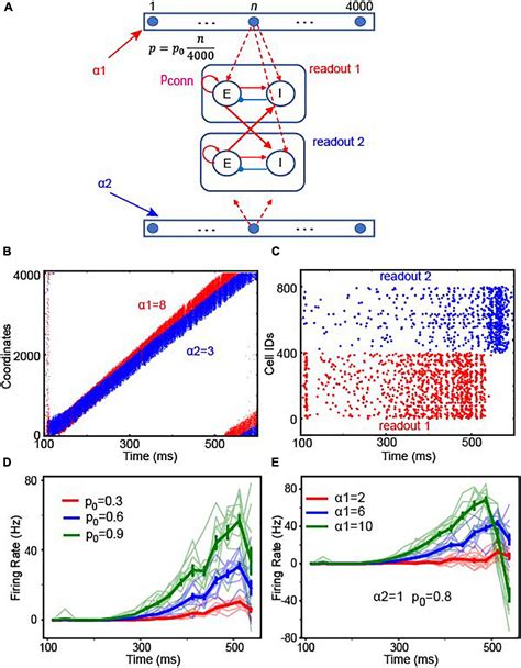 Frontiers Cortical Circuit Based Lossless Neural Integrator For Perceptual Decision Making A