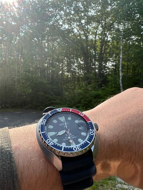 Owner Review Seiko Padi Mini Turtle Srpc41 Fifth Wrist