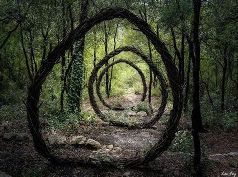 Forest Sculpture Land Art Forest Art Outdoor Art