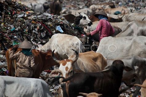 Volume Sampah Meningkat Antara Foto