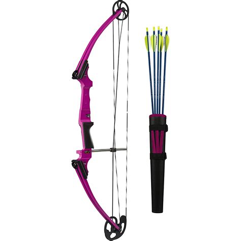 Genesis Original Universal Compound Bow And Arrow Kit Left Hand Purple