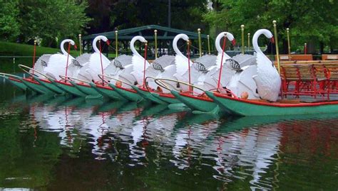 Home Swan Boats