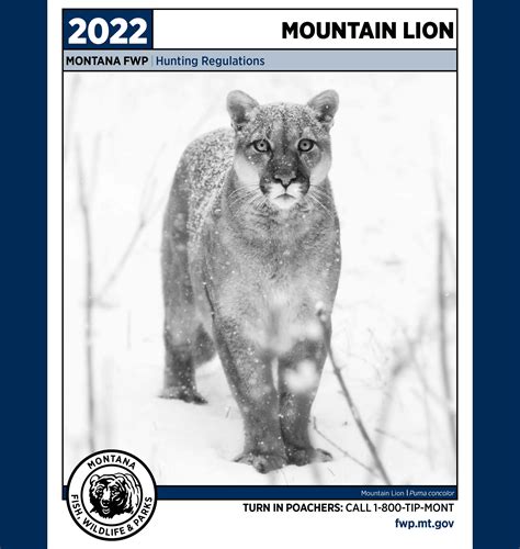 Montana Hunting Regulations Dniren Zabrina