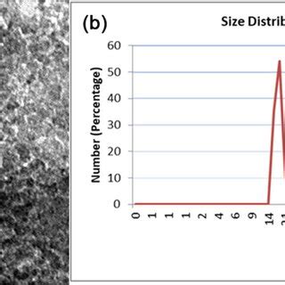 Tem Morphology Of Zinc Oxide Nanoparticles Znonps A And Particle