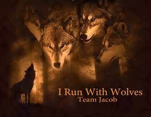 Twilight Jacob Wolf Pack