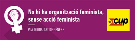 Pla Digualtat De G Nere Feminisme