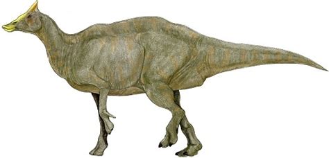 Saurolophus Pictures & Facts - The Dinosaur Database