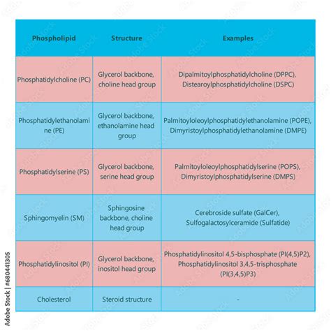 Table showing Phospholipids types, chemical structure and examples ...