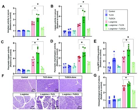 Effects Of Bas In L Arginine Induced Ap In Mice Bas Were Given Via The