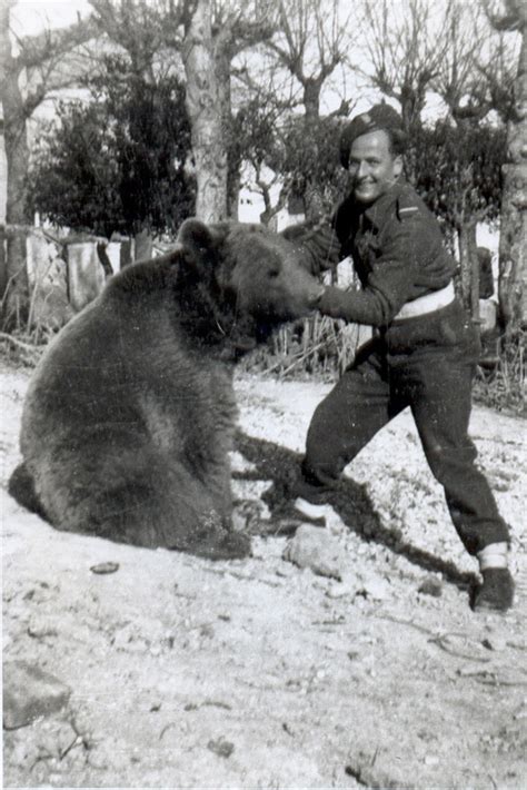 Wojtek the Bear: Surprising World War II Animal Hero | Time