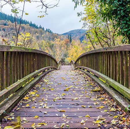 About Silver Line Psychology | Therapy in Irvine, CA