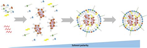 Frontiers Advances In Lipid Nanoparticles For Mrna Based Cancer