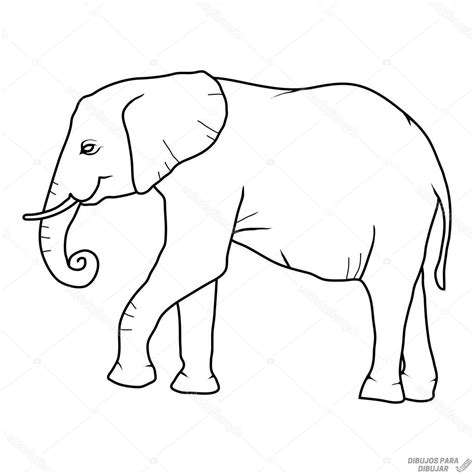 Dibujos De Elefante Para Colorear