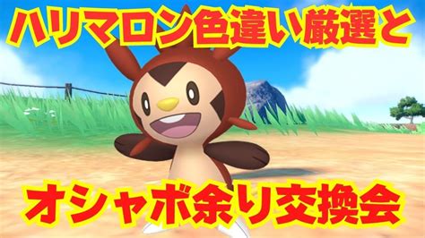 【ポケモンsv色違い孵化】初見さん歓迎！ハリマロンの色違いを狙って国際孵化やっていくぞ！余ったオシャボの個体はマジカル交換か欲しい人にあげ