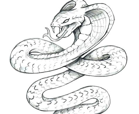 List Of Rattlesnake Coloring Page Ideas Cosjsma