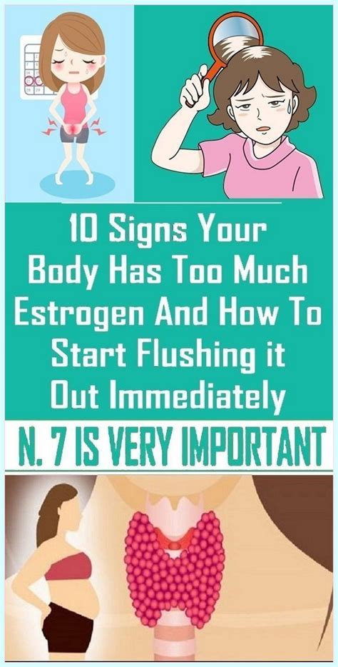 Identifying Estrogen Dominance Estrogen Dominance Too Much Estrogen