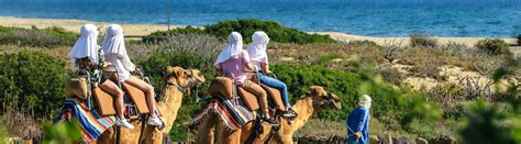 Outback And Camel Safari Cabo Desert Tour Camel Ride Cabo